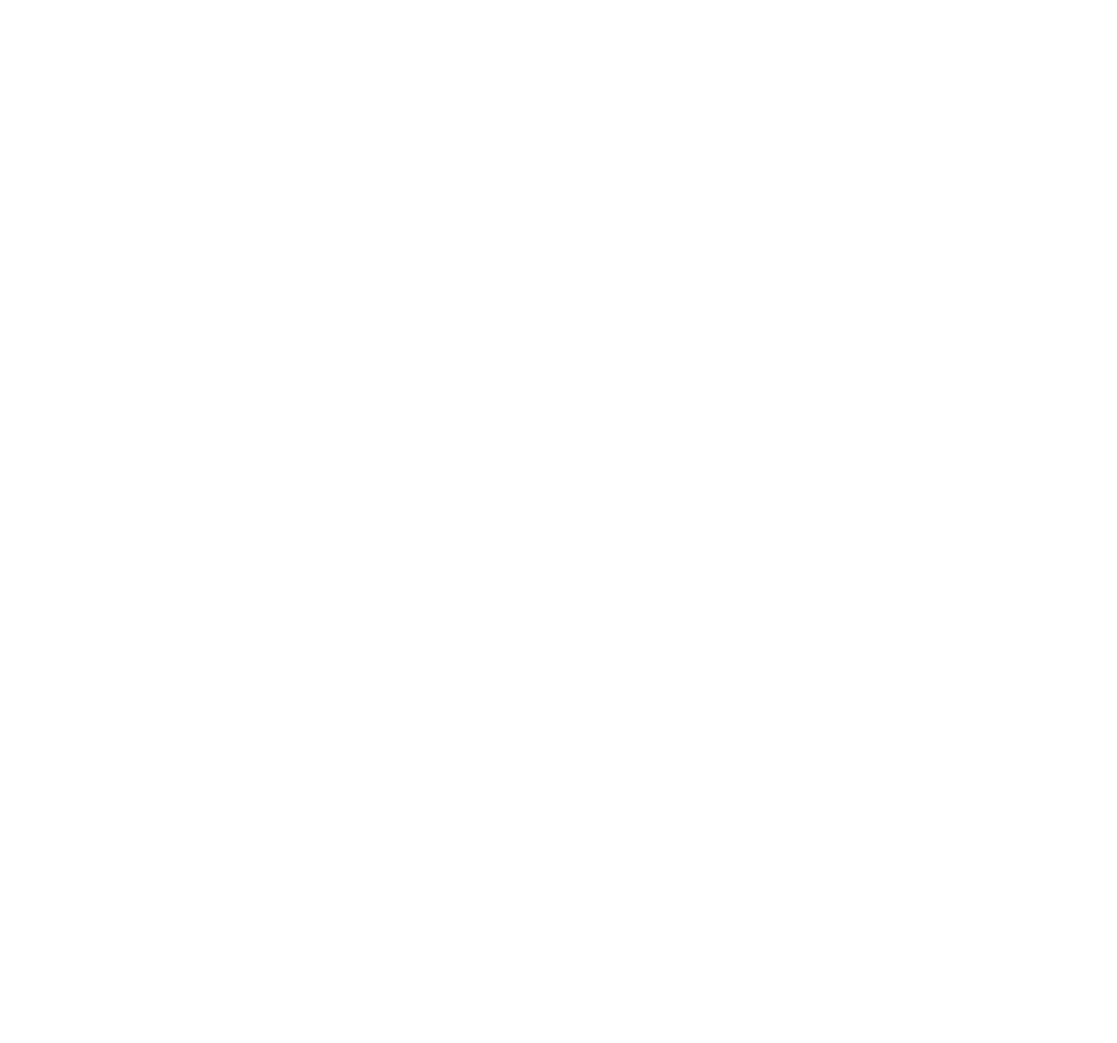 Barkly Smokehouse Hero Logo Reverse